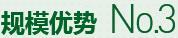 購(gòu)買(mǎi)蔬菜種子，鼎牌優(yōu)勢(shì)三