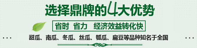 購(gòu)買(mǎi)蔬菜種子，選擇鼎牌的四大優(yōu)勢(shì)