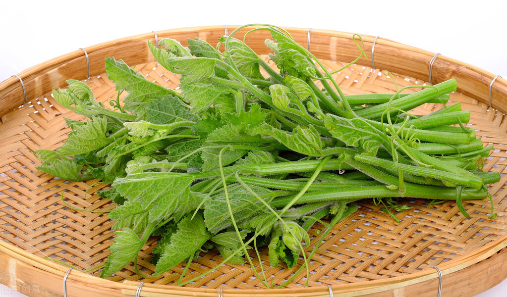 種這種綠葉菜，栽培輕松，畝產(chǎn)值過(guò)萬(wàn)元，菜農(nóng)表示很劃算