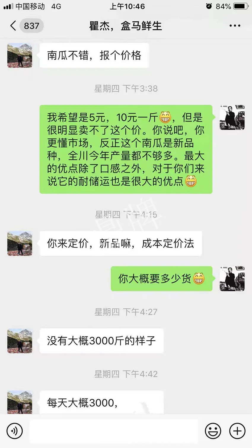 四川農(nóng)戶今年種“健美蜜本”南瓜產(chǎn)量高，品質(zhì)好，感覺巴適得很