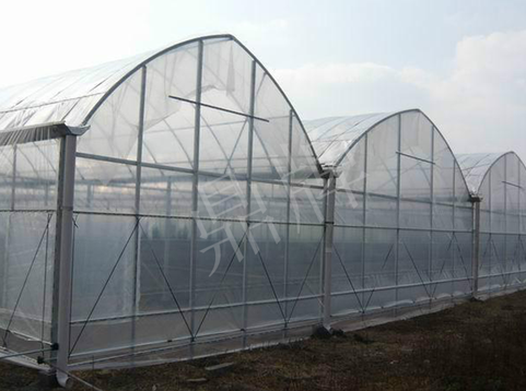 蔬菜種子種植戶客戶點評-鼎牌瓠瓜上市早，地頭批發(fā)價達到8元/斤，種植基地王老板告訴您！