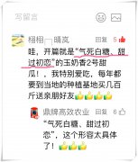 蔬菜種子種植戶客戶點(diǎn)評(píng)-“氣死白糖，甜過初戀”，您知道或體驗(yàn)過這句話嗎